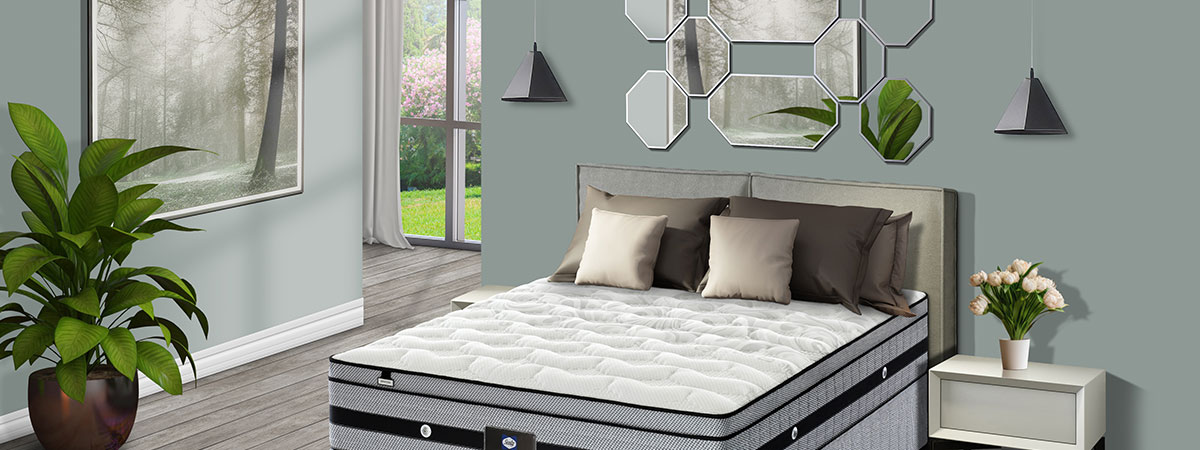 bedzone brand 2
